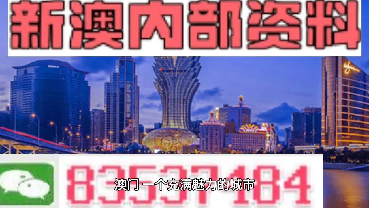 新澳门335期资料,专业分析解释落实