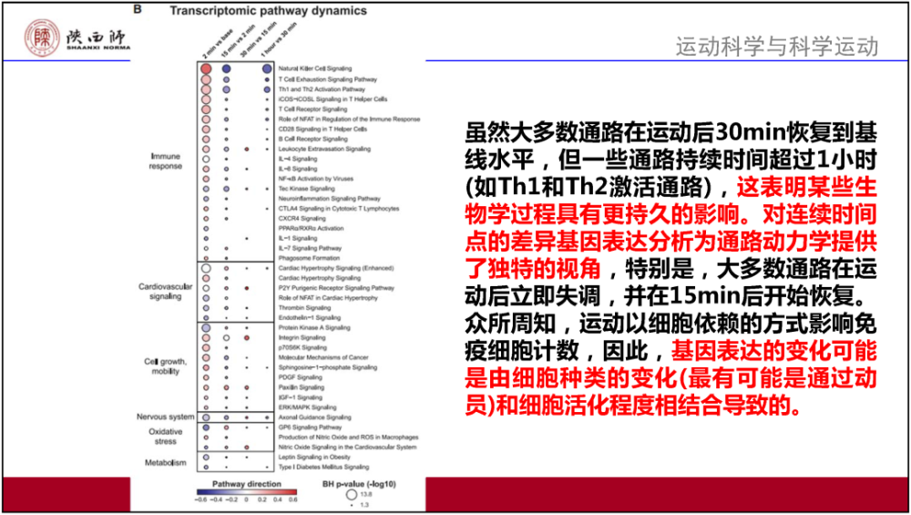 2024,2025年澳门必中三肖三期必开资料四不像,讲解词语解释释义