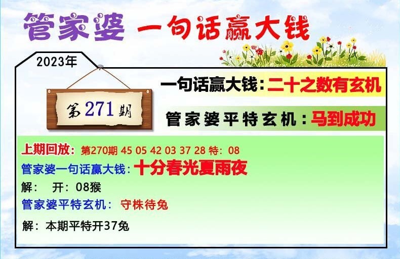 澳门一肖一码100管家婆9995,构建解答解释落实