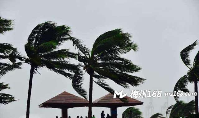 最新台风来了广东湛江