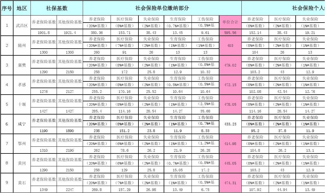 最新社保费表