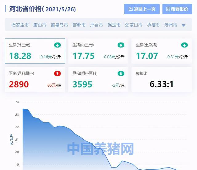 今日河北生猪价格最新