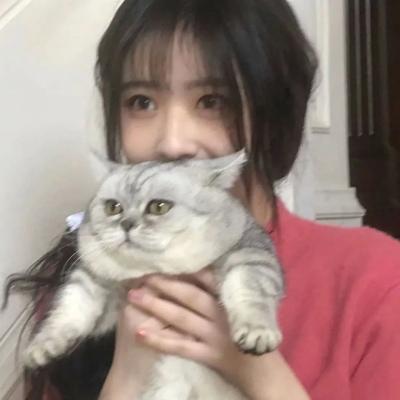 最新女生抱猫头像