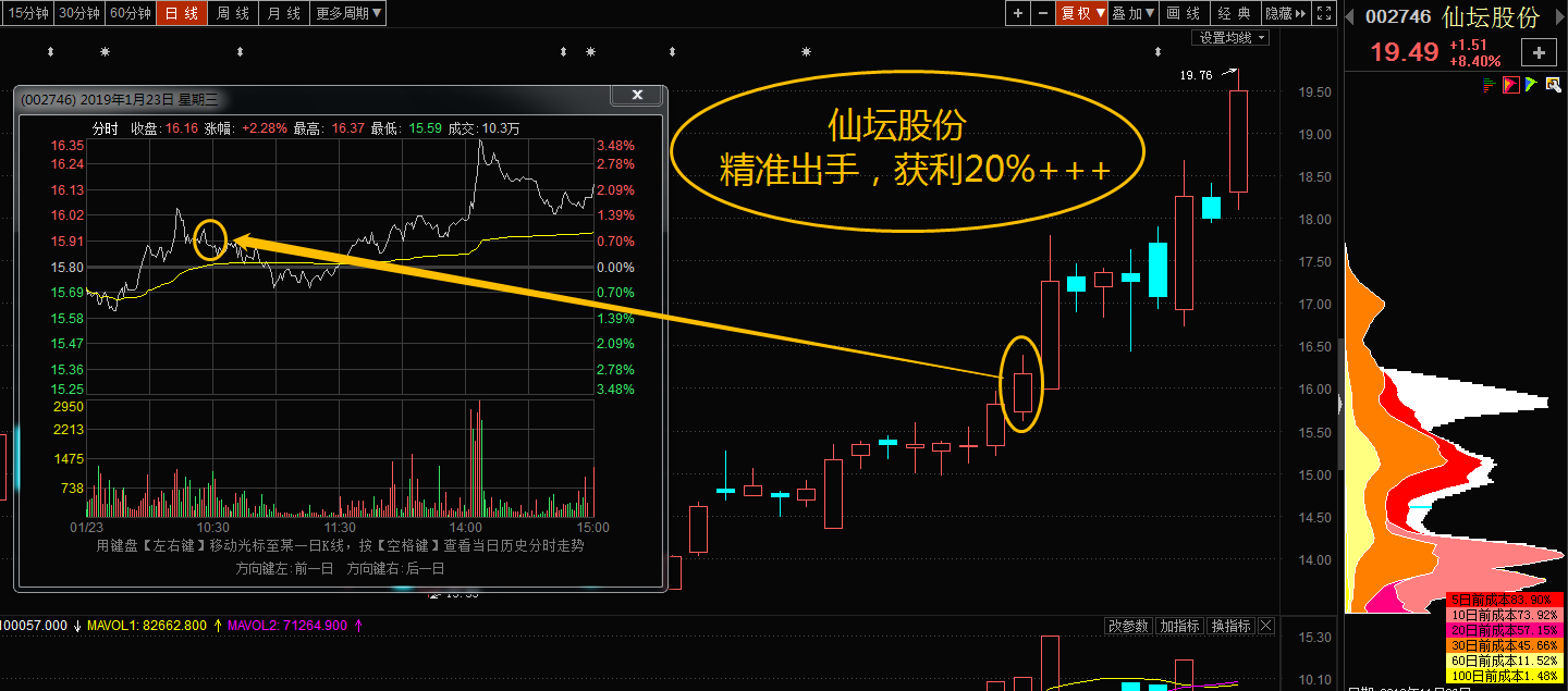 仙坛股份最新分析