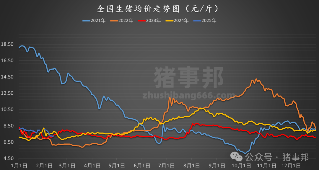 分日猪价最新